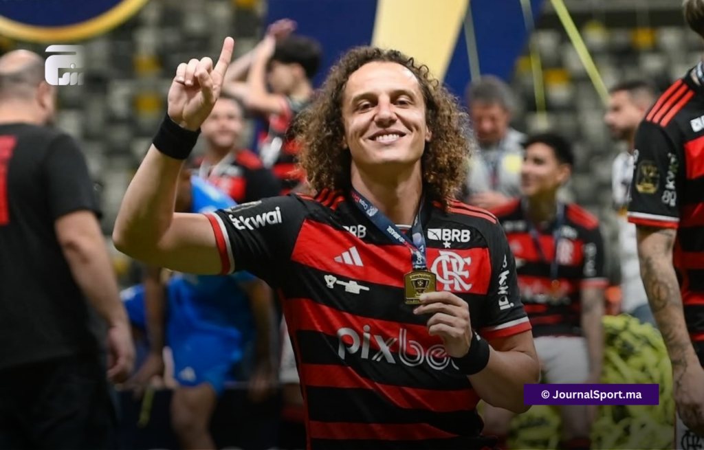 بطولة البرازيل.. فلامنغو يقرر عدم تجديد عقد الدولي السابق دافيد لويز