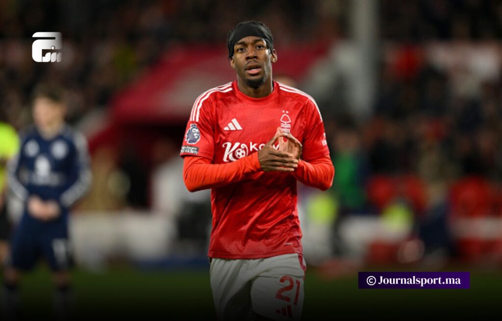 نيوكاسل يوافق على التعاقد مع المهاجم السويدي إيلانغا